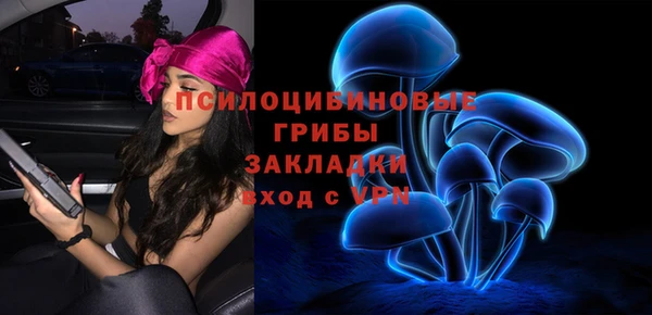кокс Алексеевка