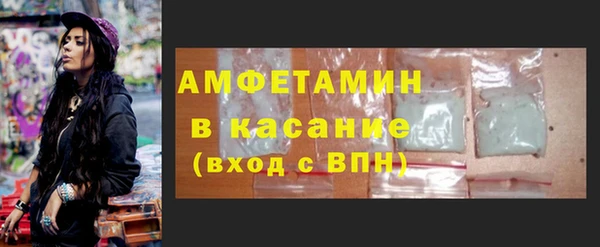 прущие грибы Аркадак