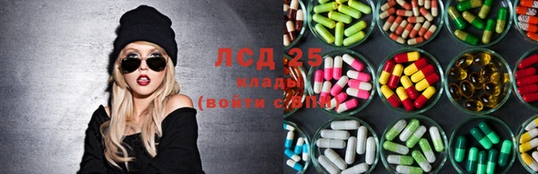 мяу мяу мука Алзамай