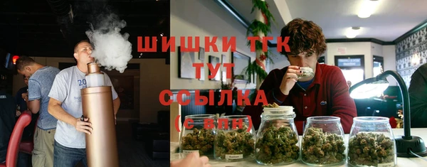 мяу мяу мука Алзамай