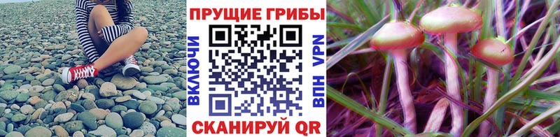 Галлюциногенные грибы MAGIC MUSHROOMS Петушки